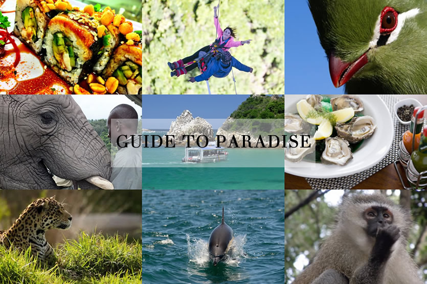 Guide to paradise